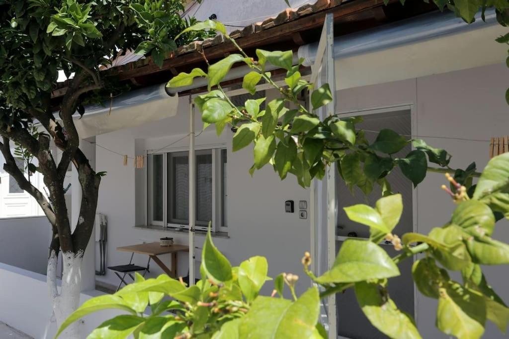 Apartment Stamatis *